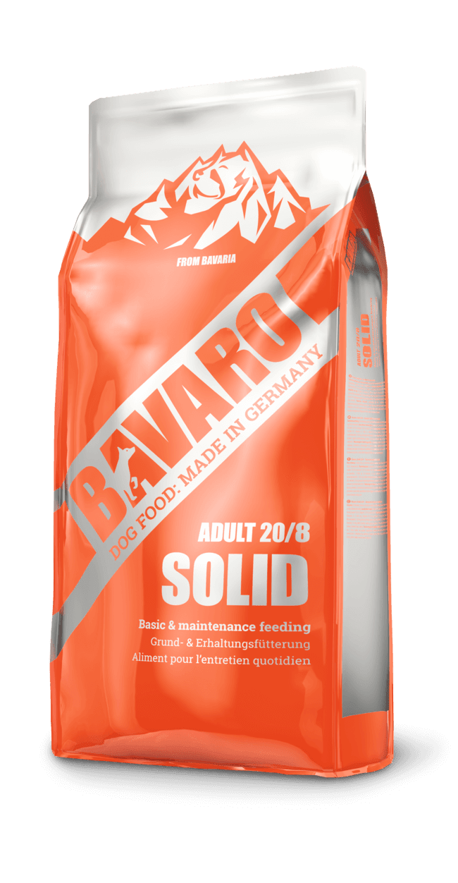 Bavaro Solid