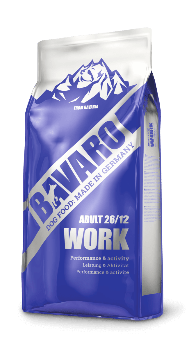 Bavaro Work