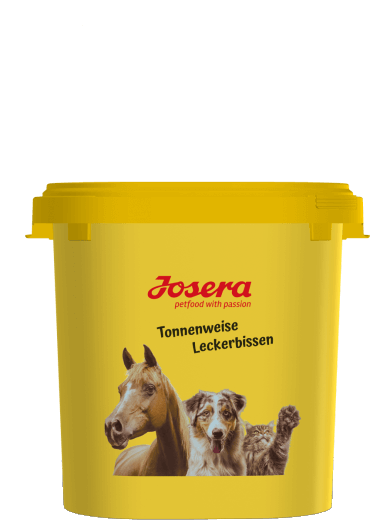 Kutyatáp tartó vödör